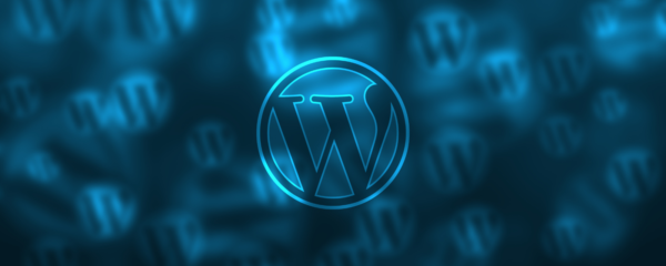 WordPress Website Basic